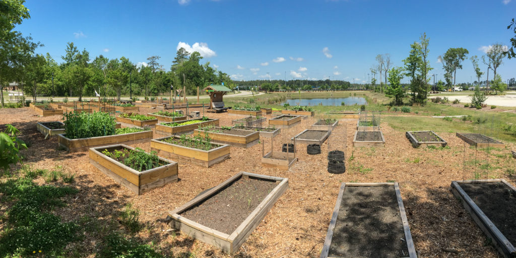 Market Common Community Garden