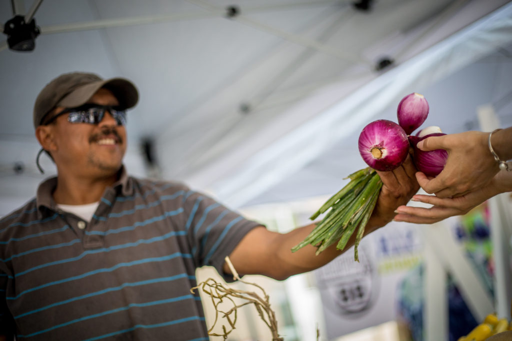 Market Common Farmers Market