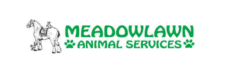 Meadowlawn Animal Services is the most convenient and effective animal care service providers in the area.