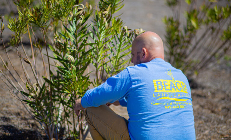 Matt Freedman (above), has spent years learning everything he could about plants, trees, and shrubs. He recieved the most from working hands-on.