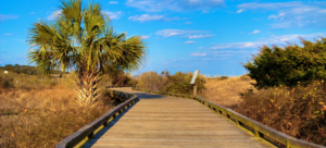 wooden walkway at the beach with palm trees and blue sky