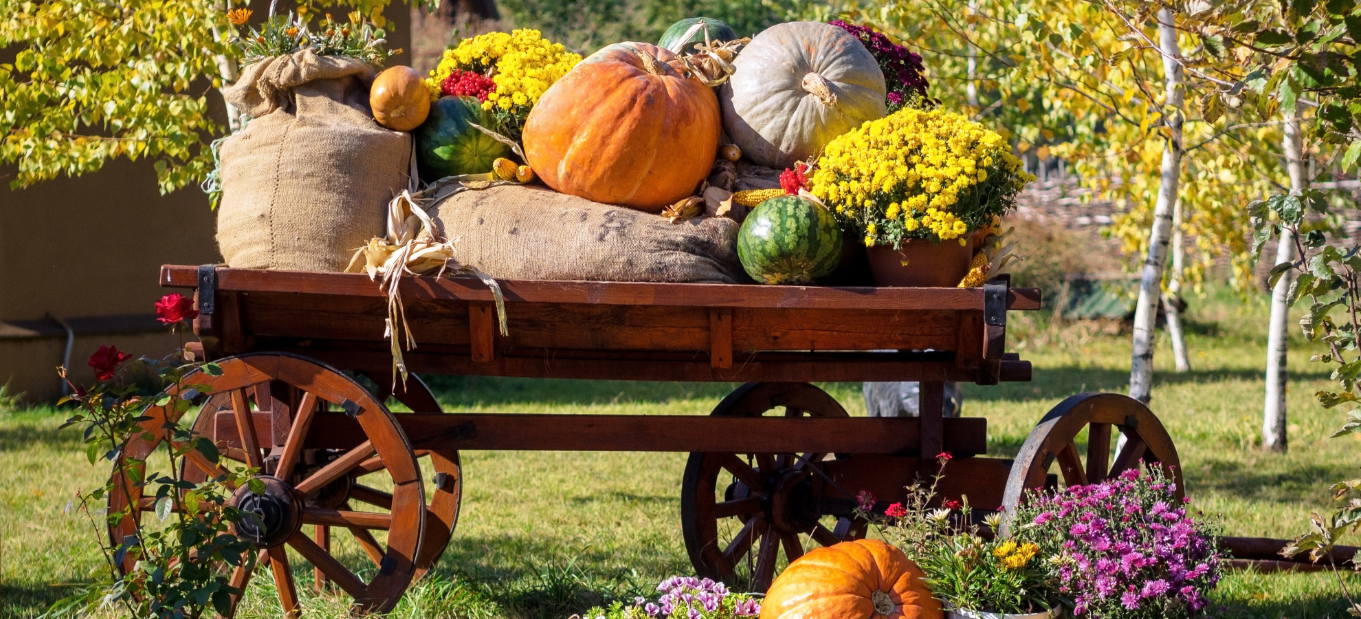 South Carolina Fall Festivals