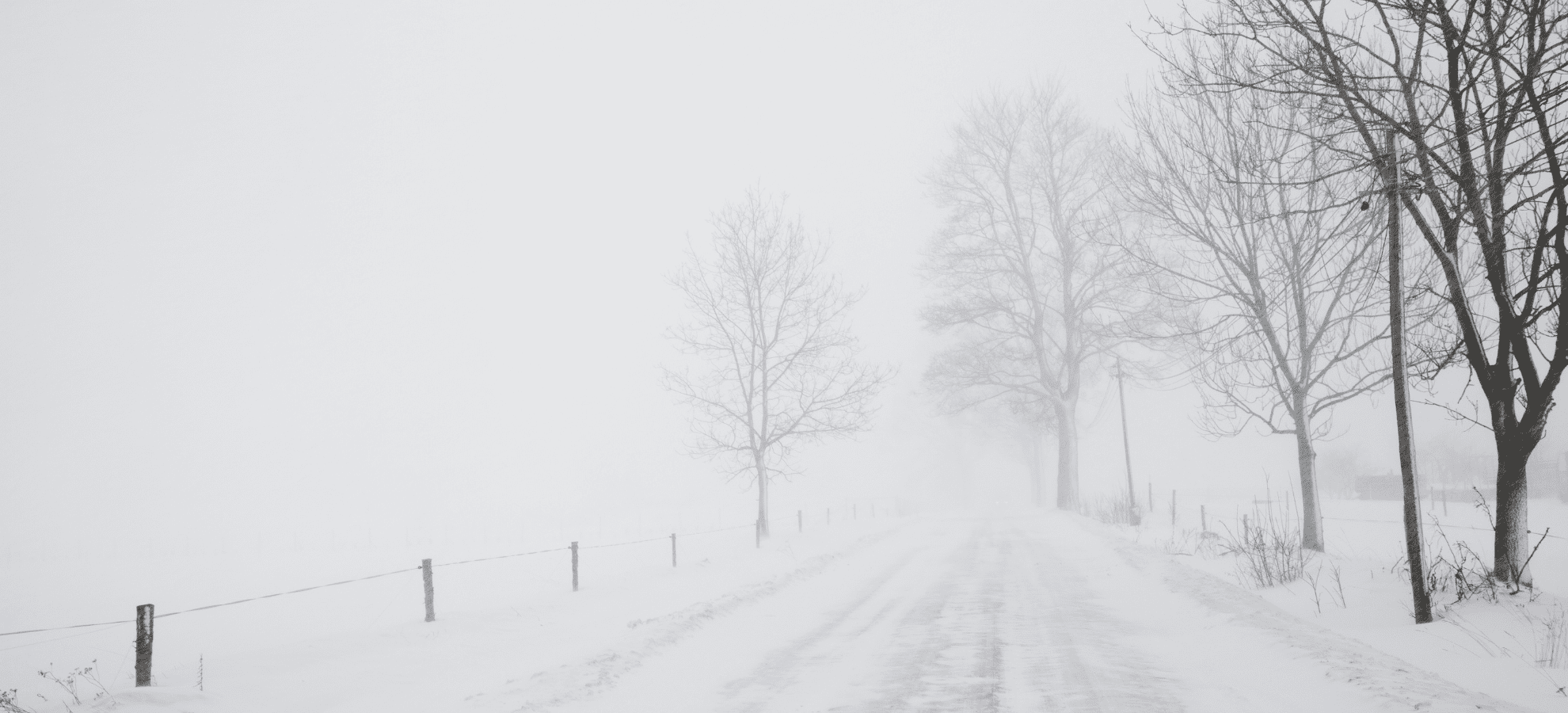 When the Grand Strand Turns White—A Look Back at the Snowy Surprises That Left Us in Awe