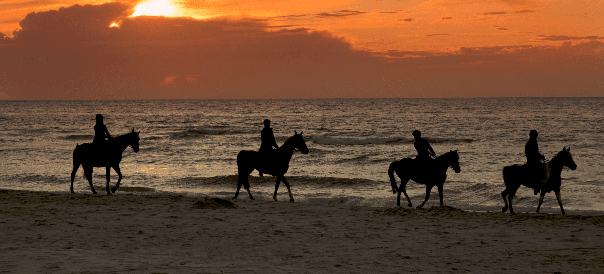 Experience the beauty of the Grand Strand on horseback with these guided beach and trail rides.