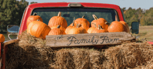From jazz and shrimp to helicopter candy drops, here’s how to October like a local