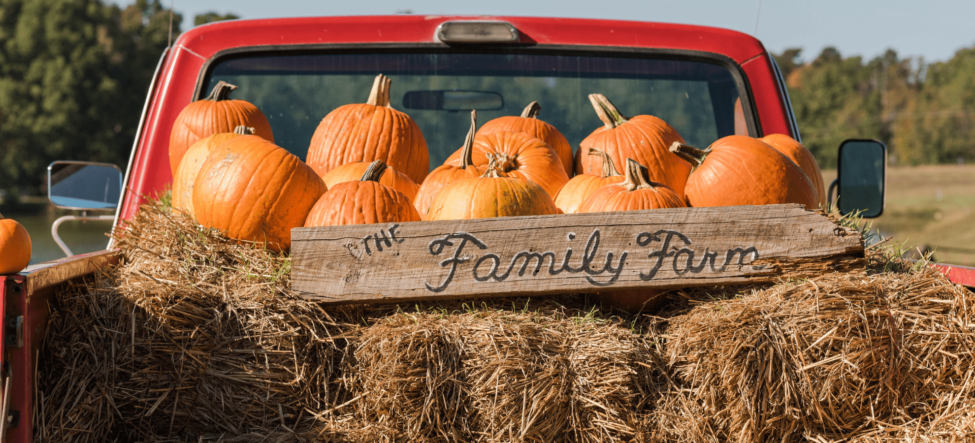 From jazz and shrimp to helicopter candy drops, here’s how to October like a local