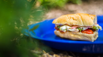 Tomato and Cheese Sandwich Recipe