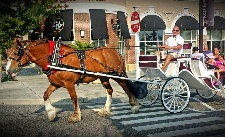 The Coastal Insider - Events - Complimentary Carriage Rides