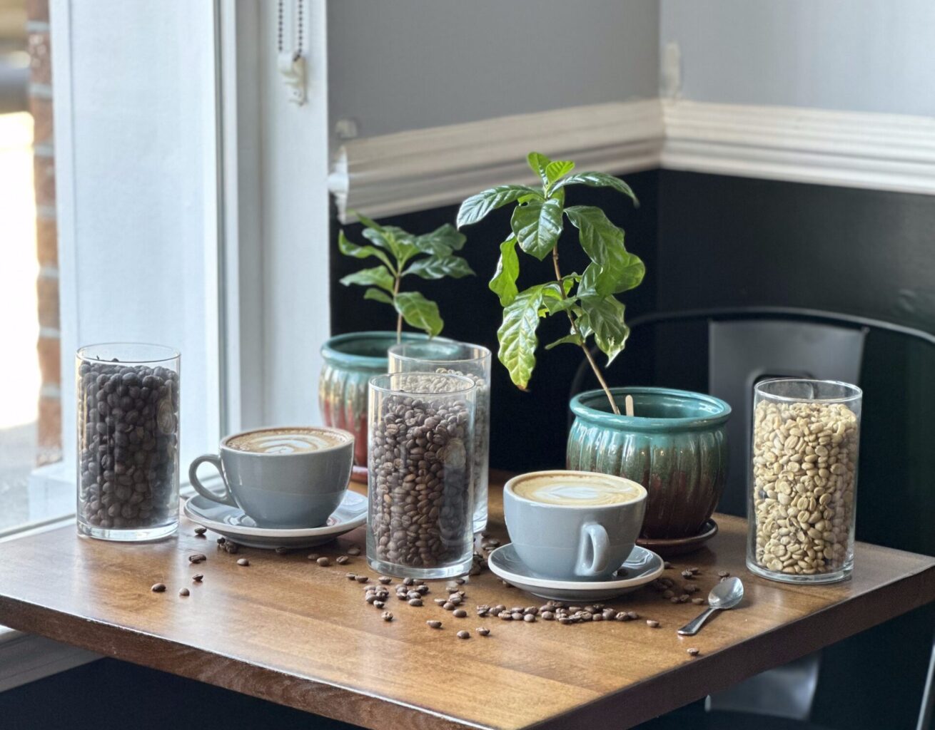 A Look Inside Grand Strand Coffee