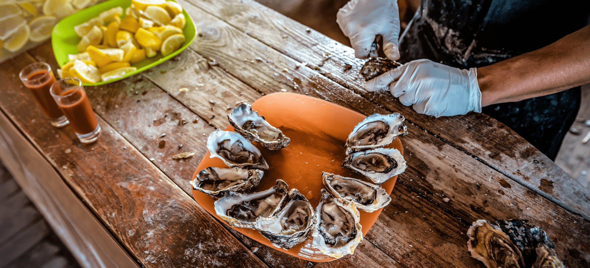 Get Shucked Up at Noizy Oysters Bar & Grill
