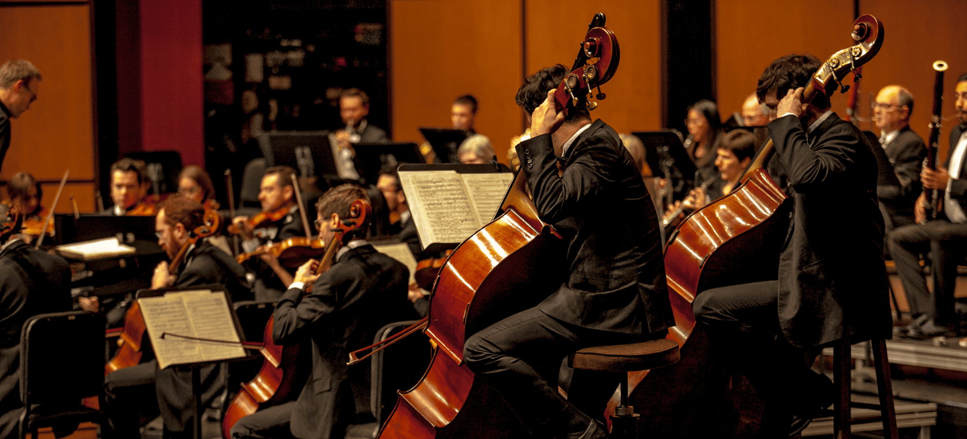The Vibrant Journey of Long Bay Symphony