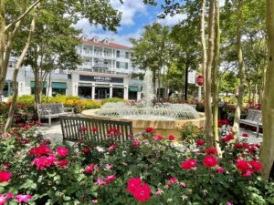 Whether you're here for the deals or the dockside drinks, these spots make Myrtle Beach more than just a beach