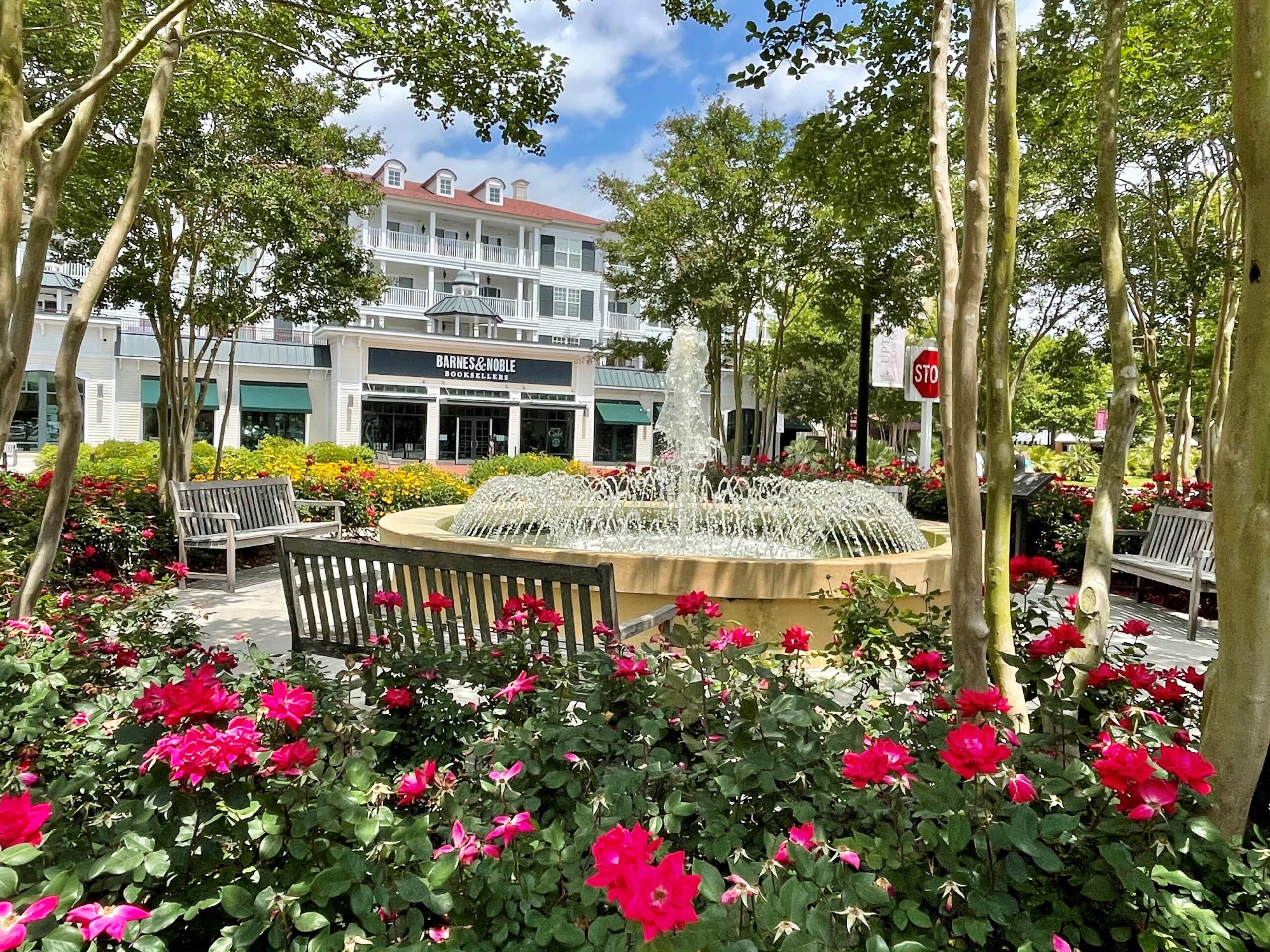 Whether you're here for the deals or the dockside drinks, these spots make Myrtle Beach more than just a beach