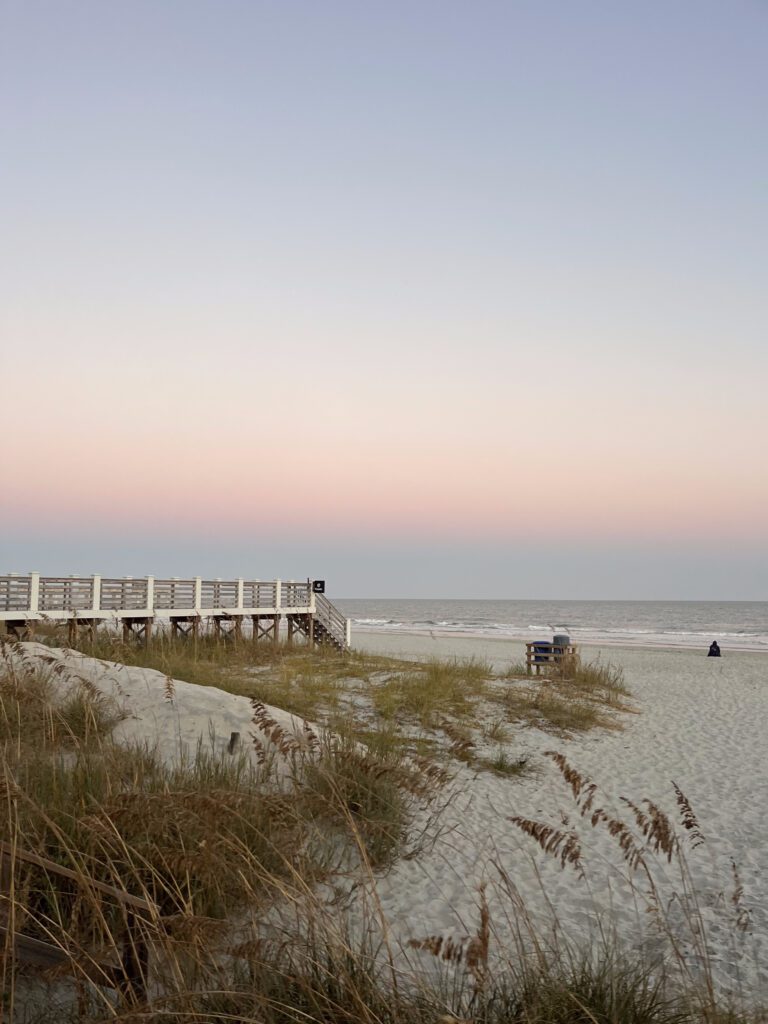 Warning: You might fall in love with the beach, the food, and accidentally move here.
